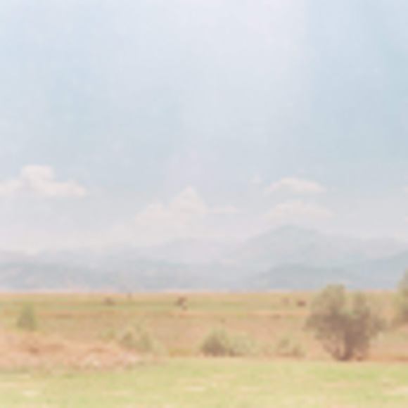 Meet your Posher, Dominika - Picture 1 of 1